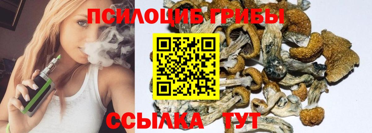 Псилоцибиновые грибы мицелий Учалы
